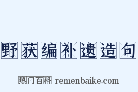 野获编补遗造句是什么意思的图片
